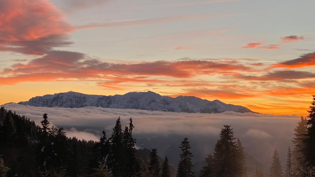 Yager Chalet Poiana Brašov Exteriér fotografie