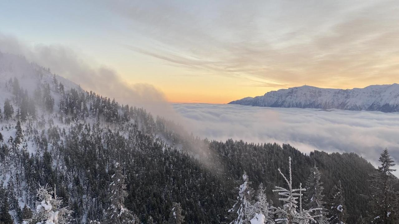 Yager Chalet Poiana Brašov Exteriér fotografie